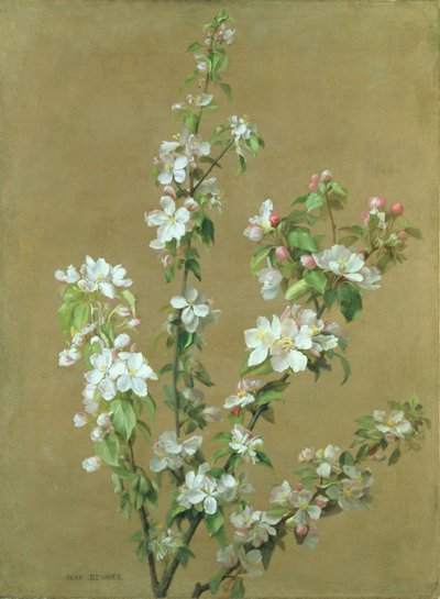 Apple Blossom by Jean Benner